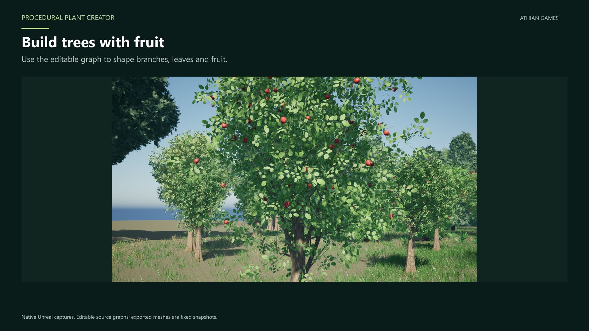 orchard